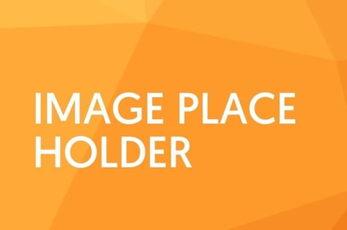 Image Place Holder - 2